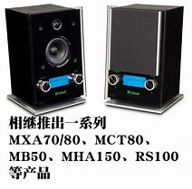 Image result for 麦景图 XR200 Speaker