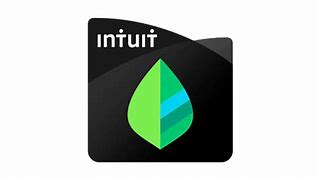 Image result for Mint iPhone 4