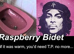 Image result for Raspberry Beret Meme