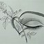 Image result for Pencil Sketch Cool Drawings