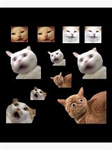 Image result for Cat Meme Stickers