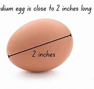 Image result for Food Items That Are an Inch Long
