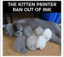 Image result for Attacking Printer Cat Meme