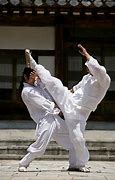 Image result for Ancient Korean Martial Arts