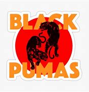 Image result for Black Pumas Band T-Shirt