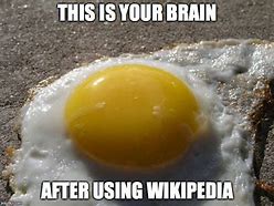 Image result for Meme Fried Egg Brain