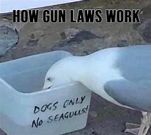 Image result for Us Gun Law Meme