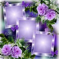 Image result for In Loving Memory Frames Imikimi Purple