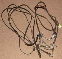 Image result for English Bridle with Curb Bit