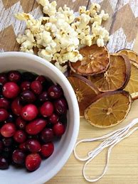 Image result for DIY Dried Fruit