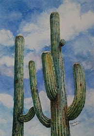 Image result for Desert Cactus Art