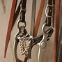 Image result for Rare Horse Bits