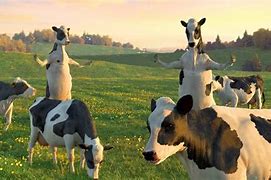 Image result for Funny Cow Dance
