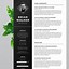 Image result for Eye-Catching Resume Templates Free