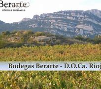 Berarte Rioja に対する画像結果