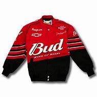 Image result for Dale Earnhardt Jr Budweiser Car