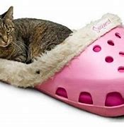 Image result for Cool Things I Found On Amazon