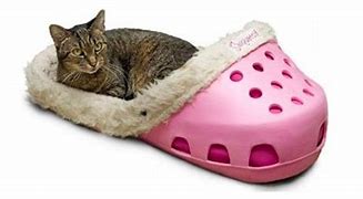 Image result for Amazon Cool Stufd