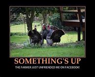 Image result for Funny Memes Compare