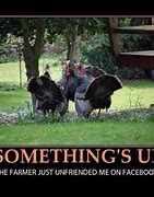 Image result for Love You Thanksgiving Memes