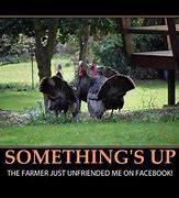 Image result for Butterball Turkey Meme