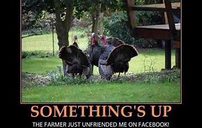 Image result for Turkey Day Meme