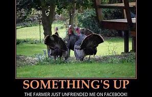 Image result for Good Morning Turkey Meme