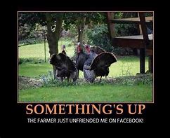 Image result for Stuffed Turkey Meme