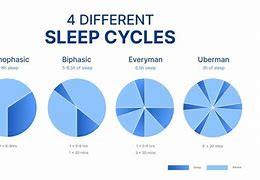 Image result for Jawbone Normal Sleep Pattern