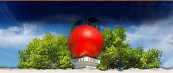 Image result for The Big Red Apple New York