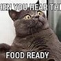 Image result for Healthy Food Funny Memes
