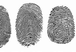 Image result for Fingerprint Print