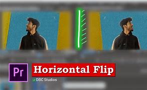 Image result for Horizontal Flip Examples