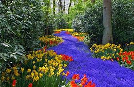 Image result for Beautiful Colorful Nature