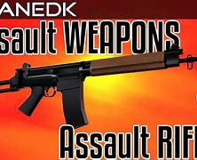 Image result for AR-10 Assault Rifle