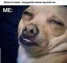Image result for Dog Memes Tagalog