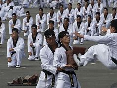 Image result for Korean Special Forces Martial Arts