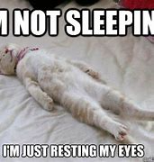 Image result for Person Sleeping Meme