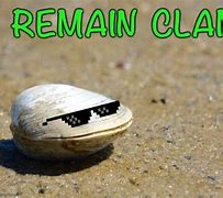 Image result for Old Clam Meme