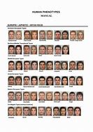 Image result for Human Phenotype Chart