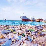 Image result for Plastic Polluting the Ocean