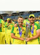 Image result for Cricket