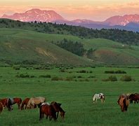 Image result for Wyoming Ranch Background