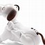 Image result for Aibo Robot Dog Japan