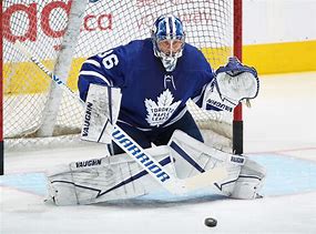 Image result for Toronto Maple Leafs Goalie Fan Art