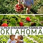 Image result for Picture People Picking Strawberries