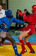 Image result for UFC Sambo Fighters