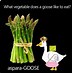 Image result for Funny Goose Jokes