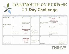 Image result for 21 Day Challenge Examples