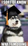 Image result for University Degree Memes